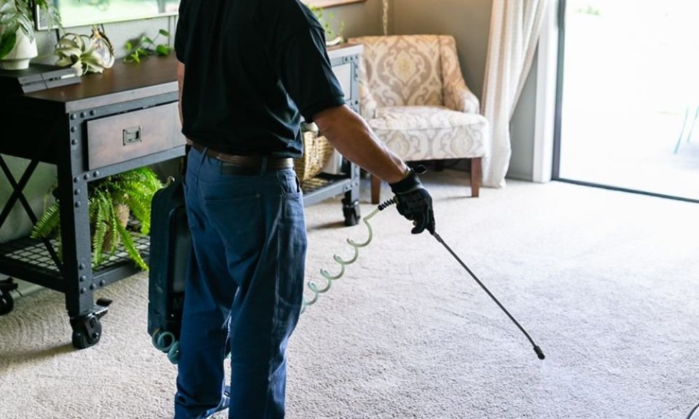 72448137_136004621081012_6004003141777883136_o